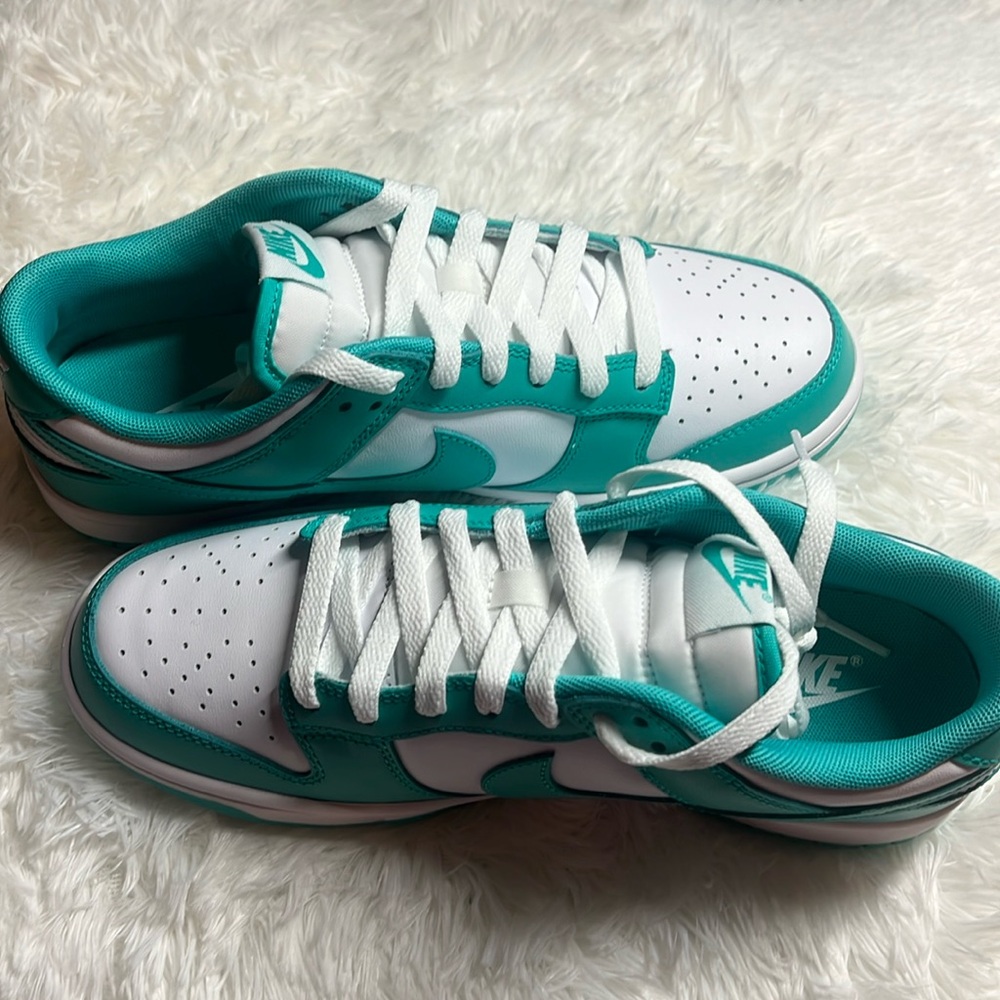 Nike Dunk Low Women’s Teal